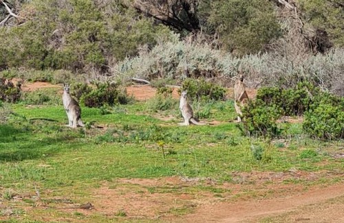 Glossop Other | Unique VIP Glamping Experience in Riverland's Heart