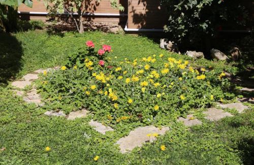 Squinzano Bed & Breakfast | Virò House: Pet-Friendly Retreat with Breakfast Included