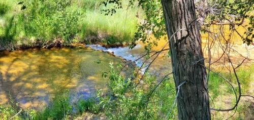 Glendale House | Family-Friendly Virgin River Retreat near Zion & Bryce
