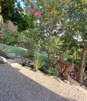 Cartisoara House | Guest Rated 9.6: Family-Friendly Stay at Vis Împlinit