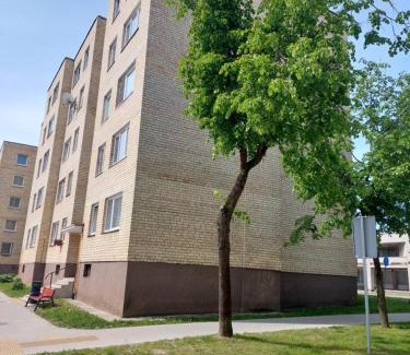Siauliai City Center Apartment | Outstanding Visinskio Apartamentai - Child-Friendly Retreat