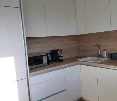 Siauliai City Center Apartment | Outstanding Visinskio Apartamentai - Child-Friendly Retreat