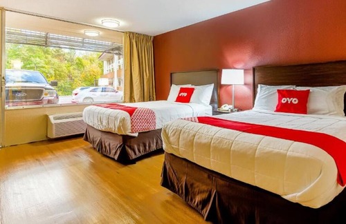 Moline House | Visit Center for Belgian Culture! 3 Posh Units, Pets are Allowed, Free Parking