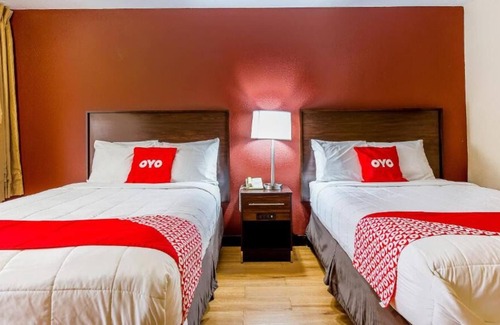 Moline House | Visit Center for Belgian Culture! 3 Posh Units, Pets are Allowed, Free Parking