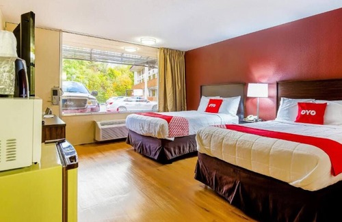 Moline House | Visit Center for Belgian Culture! 3 Posh Units, Pets are Allowed, Free Parking