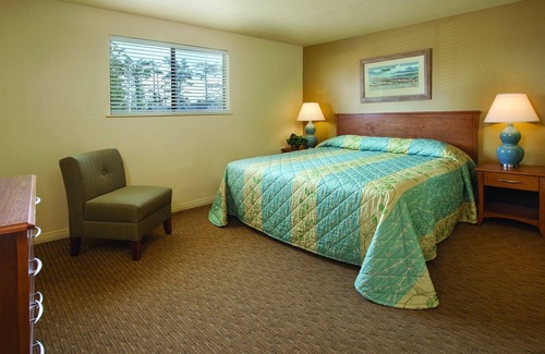 Ocean Park Resort | Explore Leadbetter Point State Park & Wildlife Refuge Getaway