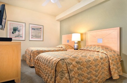 Seaside Gilbert District Resort | Discover the Seaside Aquarium with Oceanfront Amenities!