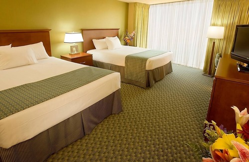 Laughlin Hotel | Discover Nevada's Natural Wonders in the Mojave Desert