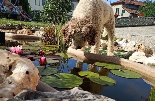 Camerano House | Vista Super: Highly Rated Hotel for Families and Pets
