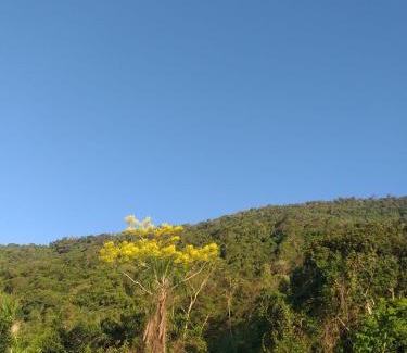 Ilha Grande House | Seaside Retreat at Visual do Abraão - Pet Friendly Stay