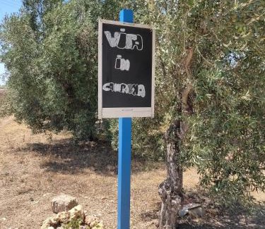 Noto House | Vita in Campagna: Family and Pet Friendly Getaway Awaits