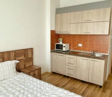 Sector 4 Apartment | Vitan Apart Hotel