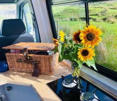 Skewen Other | Pet-Friendly Viv The VW Campervan - Guest Rated 10/10