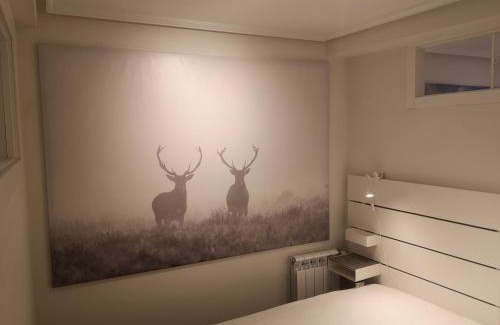Casco Viejo Apartment | Experience Vive Vitoria! in the Enchanting Medieval Zone