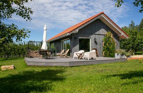 Pieriga House | Discover Vizbules: Family and Pet-Friendly Getaway