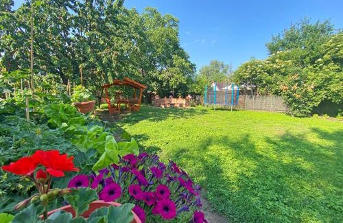 Tiszafured House | Vizililiom Vendégház: Family-Friendly with Hot Tub & Breakfast