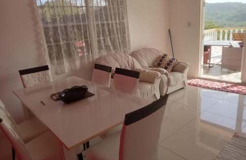 Calvigny Apartment | VJ's Guesthouse Mountain View: Pet-Friendly Retreat