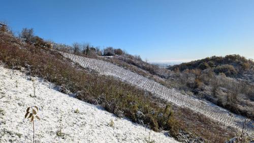 Breznik Plesivicki House | Unforgettable Vlaškovec Experience: Top-Rated Family Getaway