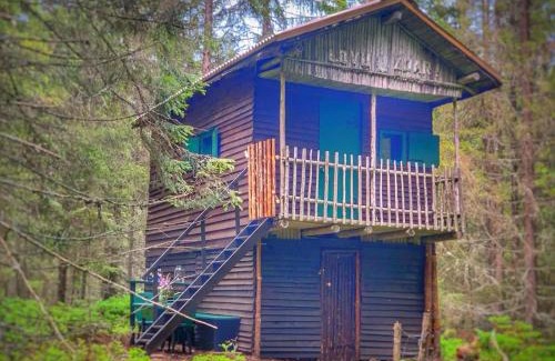 Zadov Other | Enchanting VLES Cottage Surrounded by Nature's Beauty