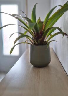Kokkari House | VM Cozy Home - Kokkari Center