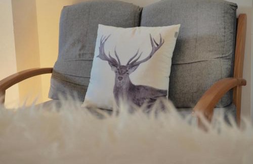 Esterri D'Aneu Apartment | Pet and Child Friendly Getaway at Vora Riu Hotel