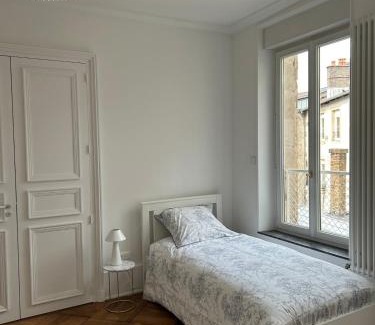 Epinal Apartment | Vosges en Ville luxueux appartement Duplex avec sauna espace bien être au centre d'Epinal