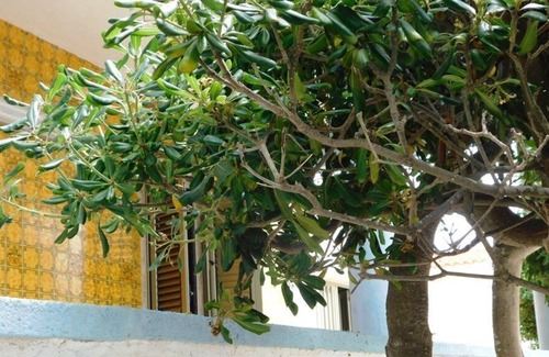 Portopalo di Capo Passero House | Vrbo Property