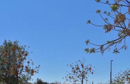 Province of Cagliari Apartment | Vrbo Property