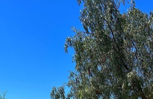 Province of Cagliari Apartment | Vrbo Property