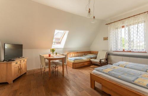 Turnov House | Cozy VS Apartmán with Pool & Pet-Friendly Amenities