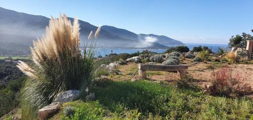 Calcatoggio Apartment | Exceptional Vue de rêve: Rated 9.2 by Our Guests