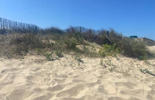 Bleriot-Plage Apartment | Beautiful Oceanfront Retreat at Vue sur Dunes - Pet Friendly!