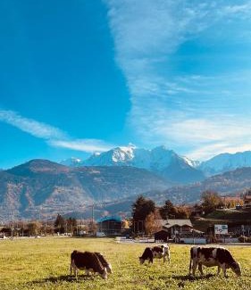 Domancy Apartment | Vue sur le MontBlanc