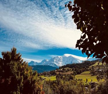Domancy Apartment | Vue sur le MontBlanc