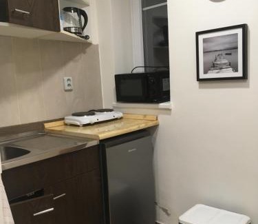 Jesenik Apartment | Cozy Studio in Brick Building Near City Center