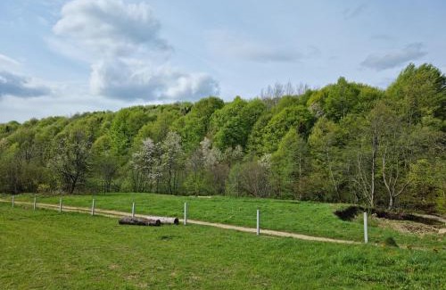 Lviv Oblast House | Guest Rated 10/10: Vysoka Brama Wooden Cottage with Hot Tub