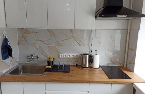 Druskininkai Apartment | Kid-Friendly Vytekstos Apartamentai with Guest Rating 9.8