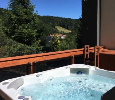Krynica-Zdroj Apartment | Relaxing Retreat at Wójcik SPA - Krynica Zdrój, Rated 9.5