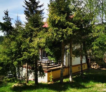 Ladek-Zdroj House | Wójtówka 16: Highly Rated Hotel with Pet-Friendly Amenities