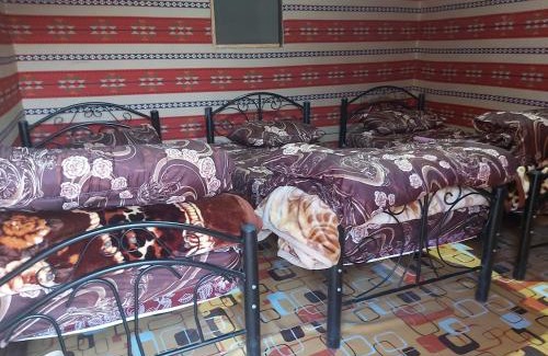 Wadi Rum Resort | Explore Wadi Rum Desert Adventures - Rated 9.5/10 with Family Amenities
