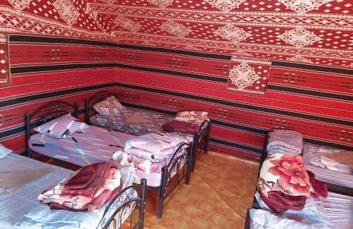 Wadi Rum Resort | Explore Wadi Rum Desert Adventures - Rated 9.5/10 with Family Amenities