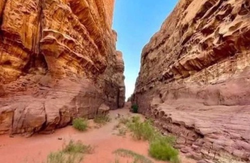 Aqaba Bed & Breakfast | Explore Wadi Rum Desert: Family and Pet-Friendly Stay