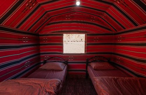 Wadi Rum Other | Discover Wadi Rum Trail: Pet-Friendly & Family Approved!