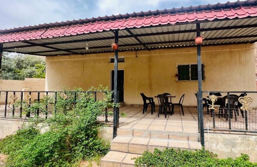 Wadi Rum Bed & Breakfast | Cozy Wadi Rum Village Bed & Breakfast for Your Escape