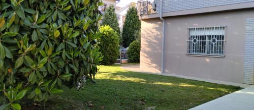 Faenza Apartment | wagner 11