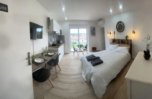 Chasse-sur-Rhone Apartment | Relaxing WAGNER’studio with Pet-Friendly Balnéo Terrace
