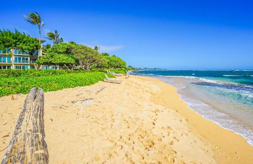 Wailua Apartment | Oceanfront Waipouli Beach Resort H202 with Amazing Amenities