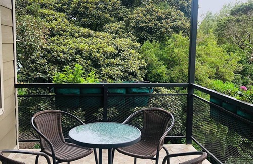 Monteverde Apartment | Fig Tree #3 - Chic Apartment with Private Balcony
