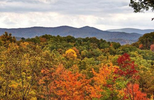 Blue Ridge House | Experience Wakin' on a Pretty Day: Pet & Child Friendly Stay