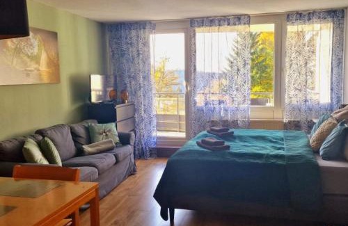 Sankt Englmar Apartment | Relax at Wald Apartments in Predigtstuhl Resort with Ocean Views